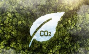 An aerial view of a dense green forest with a leaf-shaped clearing revealing the letters 'CO2', symbolizing environmental awareness and the impact of new carbon emission rules on nature conservation.